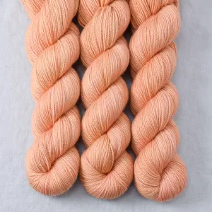 Ascent - Yummy 2-Ply