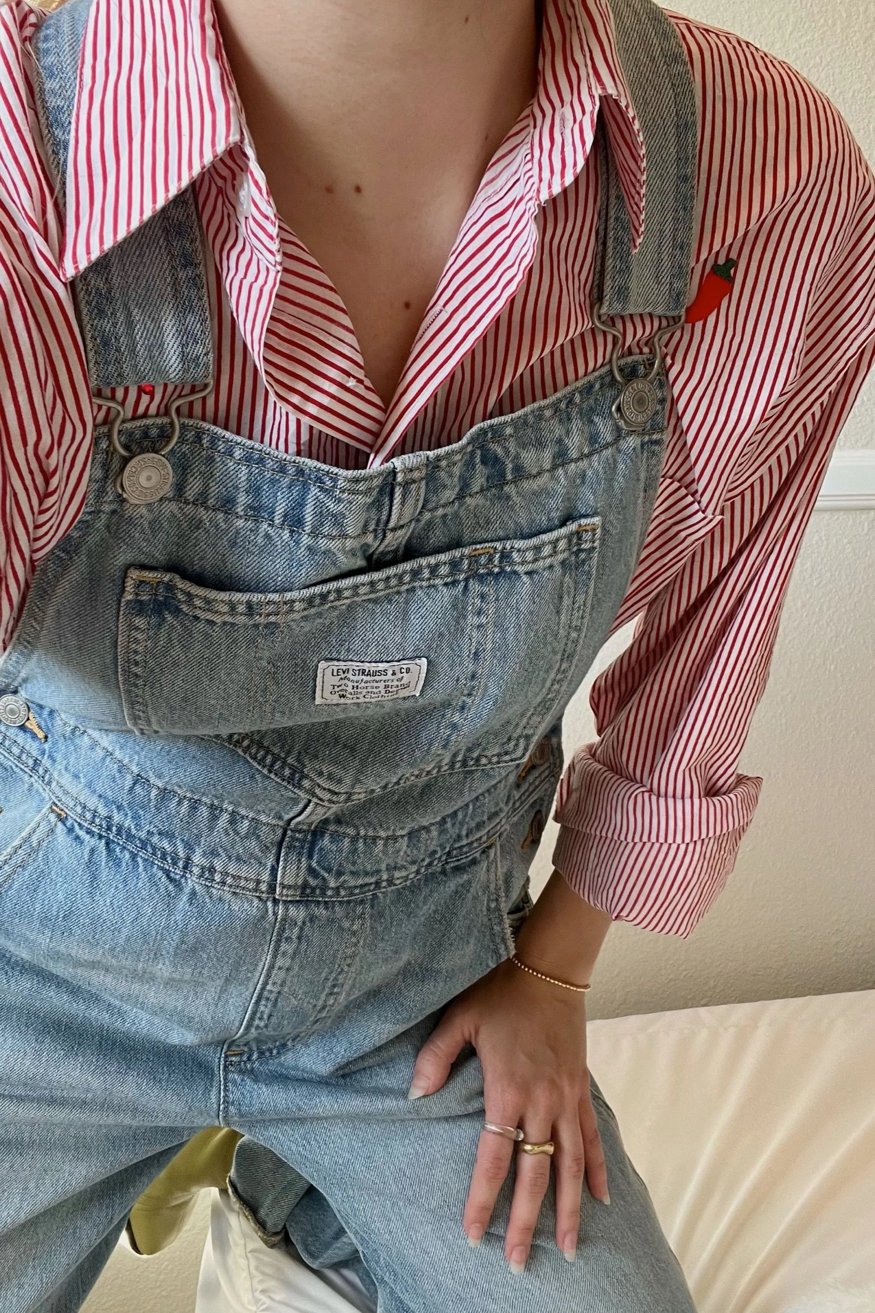 Bright Light Vintage Overalls