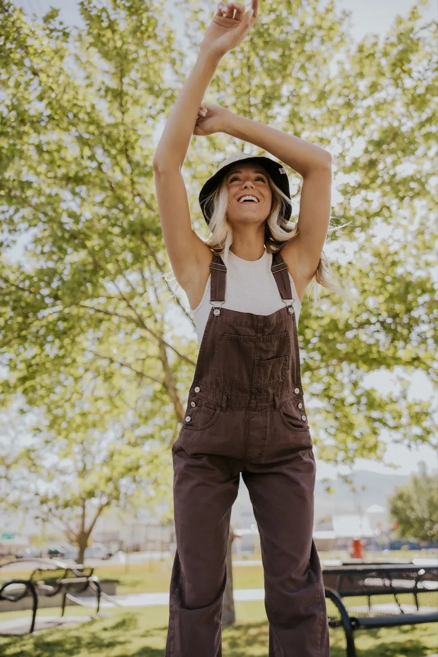 Free People Ziggy Denim Overalls